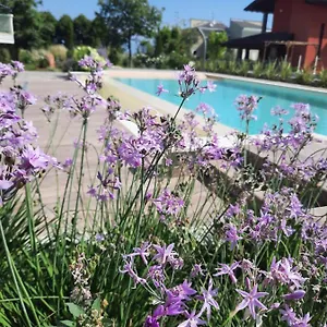 Gloria Appartamento Peschiera del Garda