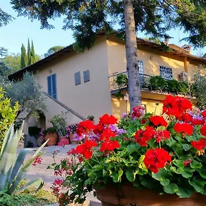 Ulivi Di Castello Frühstückspension